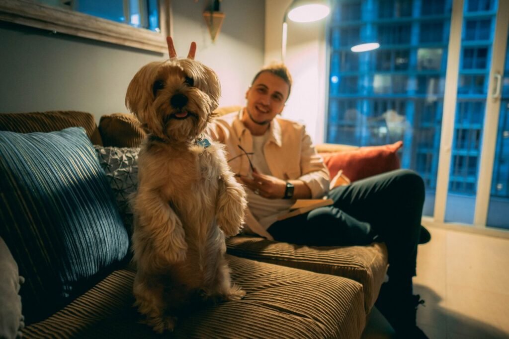 Cachorro pequeno em pé no sofá ao lado do tutor sorrindo, destacando quando o ambiente fica harmonioso para cão e gato após aplicar o guia.